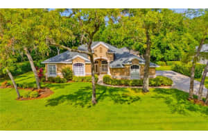 6125 AUDUBON MANOR BOULEVARD, LITHIA, FL 33547 Sold 07/03/24