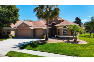 11641 BIDDEFORD PLACE, NEW PORT RICHEY, FL 34654 Sold 07/12/24