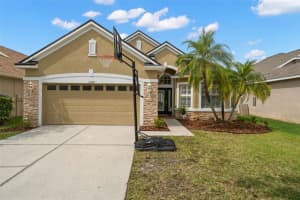 11229 BLACKSMITH DRIVE, TAMPA, FL 33626 Sold 06/28/24