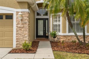 11229 BLACKSMITH DRIVE, TAMPA, FL 33626 Sold 06/28/24