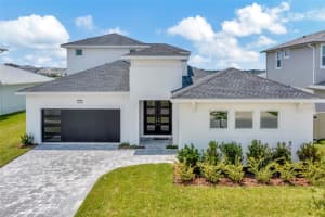 32298 WETLAND BIRD VIEW, SAN ANTONIO, FL 33576 - MLS#MFRT3518025