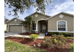 25221 CONESTOGA DRIVE, LAND O LAKES, FL 34639 Sold 06/04/24