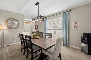 14201 ARBOR PINES DR, RIVERVIEW, FL 33579 Sold 06/07/24