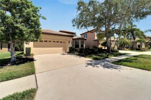 147 SILVER FALLS DRIVE, APOLLO BEACH, FL 33572 Sold 07/24/24