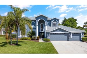 1317 FISHING LAKE DRIVE, ODESSA, FL 33556 Sold 05/31/24