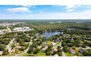1317 FISHING LAKE DRIVE, ODESSA, FL 33556 Sold 05/31/24