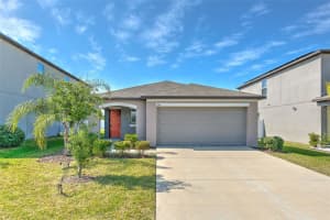 13311 WILLOW BLUESTAR LOOP, RIVERVIEW, FL 33579 Sold 11/01/24
