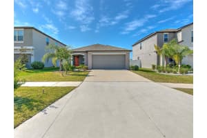13311 WILLOW BLUESTAR LOOP, RIVERVIEW, FL 33579 Sold 11/01/24