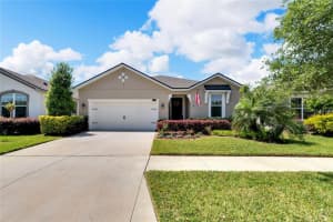 11513 BLUE WOODS DR, RIVERVIEW, FL 33569 Sold 06/27/24