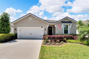 11513 BLUE WOODS DR, RIVERVIEW, FL 33569 Sold 06/27/24