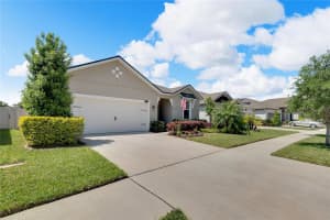 11513 BLUE WOODS DR, RIVERVIEW, FL 33569 Sold 06/27/24