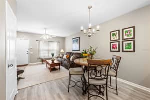 10124 BESSEMER POND COURT, RIVERVIEW, FL 33578 Sold 05/24/24