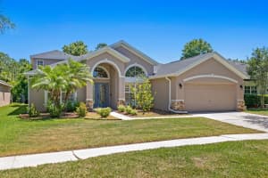 19207 CINNAMON RIDGE WAY, TAMPA, FL 33647 Sold 07/01/24