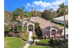 10201 CYPRESS LINKS DRIVE, TAMPA, FL 33647 Sold 05/17/24