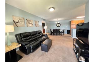 214 LAKE PARSONS GREEN, BRANDON, FL 33511 Sold 04/25/24