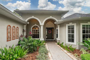 6235 WILD ORCHID DRIVE, LITHIA, FL 33547 Sold 06/03/24