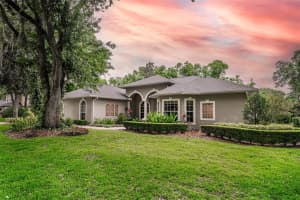 6235 WILD ORCHID DRIVE, LITHIA, FL 33547 Sold 06/03/24