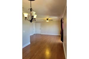 13724 ORANGE SUNSET DRIVE, TAMPA, FL 33618 Sold 10/24/24