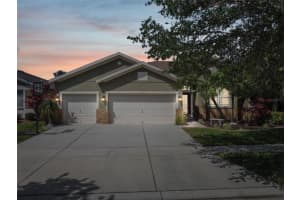 11028 STONE BRANCH DRIVE, RIVERVIEW, FL 33569 Sold 05/23/24