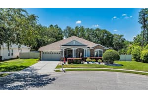 21435 CYPRESS TREE COURT, LAND O LAKES, FL 34637 Sold 07/15/24