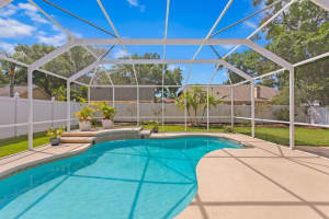6152 NATIVE WOODS DRIVE, TAMPA, FL 33625 Sold 06/10/24