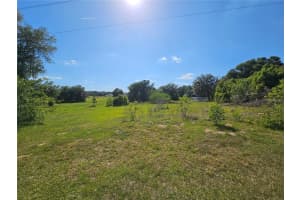 38746 CLINTON AVENUE, DADE CITY, FL 33525 - MLS#MFRT3519133