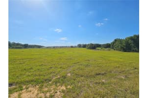 38746 CLINTON AVENUE, DADE CITY, FL 33525 - MLS#MFRT3519133