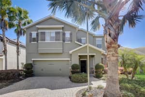 19249 EARLY VIOLET DRIVE, TAMPA, FL 33647 Sold 11/01/24