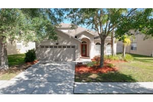 20120 STILL WIND DRIVE, TAMPA, FL 33647 Sold 07/02/24