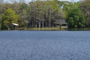 16308 ROCK LAKE DRIVE, ODESSA, FL 33556 - MLS#MFRT3519714