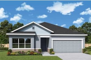 11367 HARDWOOD HAMMOCK LANE, RIVERVIEW, FL 33569 Sold 09/27/24