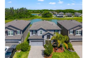 10320 STALLION FIELDS WAY, TAMPA, FL 33647 Sold 03/20/25