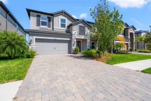 10320 STALLION FIELDS WAY, TAMPA, FL 33647 Sold 03/20/25