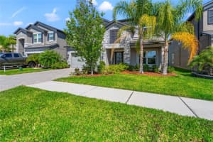 10320 STALLION FIELDS WAY, TAMPA, FL 33647 Sold 03/20/25