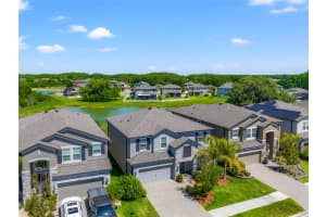 10320 STALLION FIELDS WAY, TAMPA, FL 33647 Sold 03/20/25