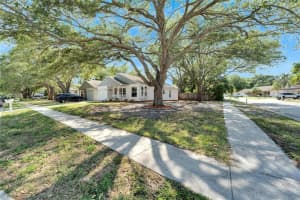 3838 LAKE SHORE DRIVE, PALM HARBOR, FL 34684 Sold 11/04/24