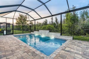 31165 CHESAPEAKE BAY DRIVE, WESLEY CHAPEL, FL 33543 Sold 08/01/24