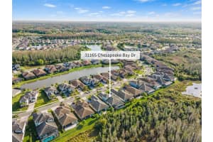 31165 CHESAPEAKE BAY DRIVE, WESLEY CHAPEL, FL 33543 Sold 08/01/24