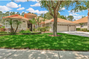 10254 ARBOR SIDE DRIVE, TAMPA, FL 33647 Sold 05/31/24