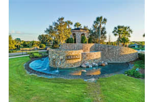 31068 SPRUCEBERRY COURT, WESLEY CHAPEL, FL 33543 Sold 06/05/24