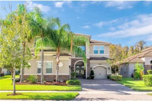 31068 SPRUCEBERRY COURT, WESLEY CHAPEL, FL 33543 Sold 06/05/24