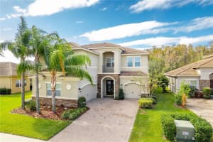 31068 SPRUCEBERRY COURT, WESLEY CHAPEL, FL 33543 Sold 06/05/24