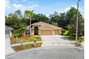 4604 PURPLE TIGER COURT, LUTZ, FL 33558 Sold 05/23/24