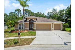 4604 PURPLE TIGER COURT, LUTZ, FL 33558 Sold 05/23/24