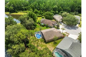 4604 PURPLE TIGER COURT, LUTZ, FL 33558 Sold 05/23/24