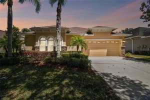 20661 AMANDA OAK COURT, LAND O LAKES, FL 34638 Sold 08/06/24