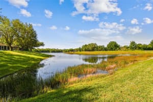 8619 SNOWY OWL WAY, TAMPA, FL 33647 Sold 06/25/24