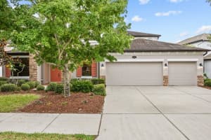 10527 MISTFLOWER LANE, TAMPA, FL 33647 Sold 07/09/24
