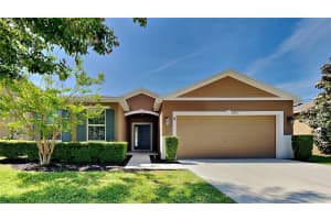 3625 BLACK DOG COURT, TAVARES, FL 32778 Sold 06/17/24