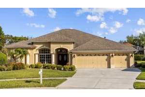 19127 WIND DANCER STREET, LUTZ, FL 33558 Sold 06/14/24